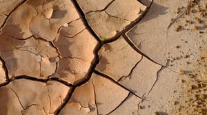 Vue aérienne dun sol sec fissuré