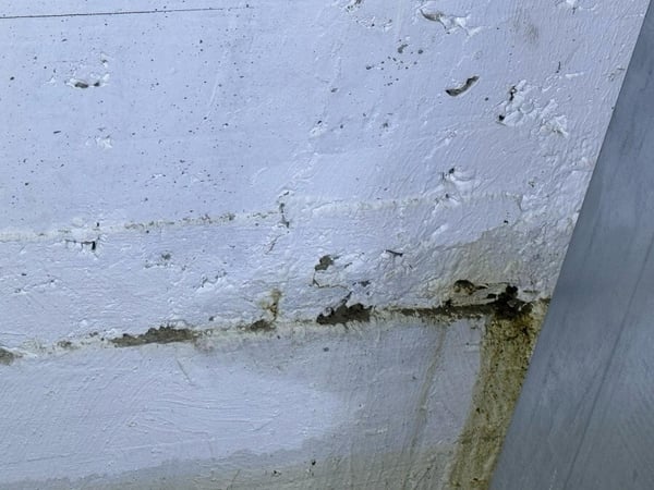 Immagine2