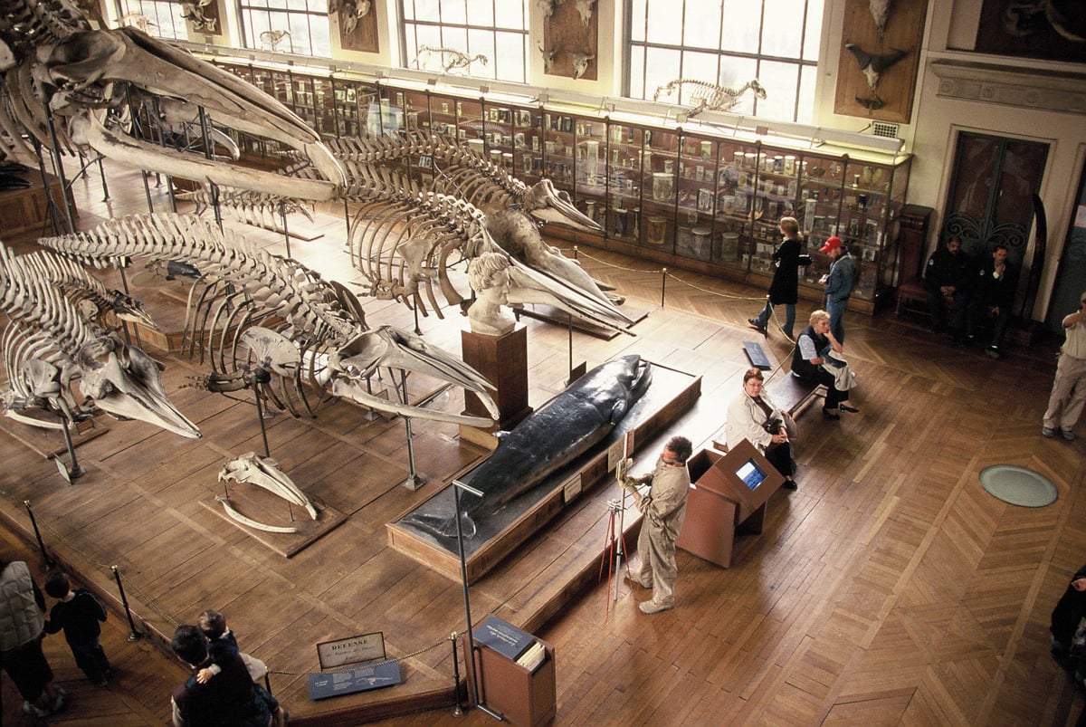 consolidamento terreno di fondazione museo
