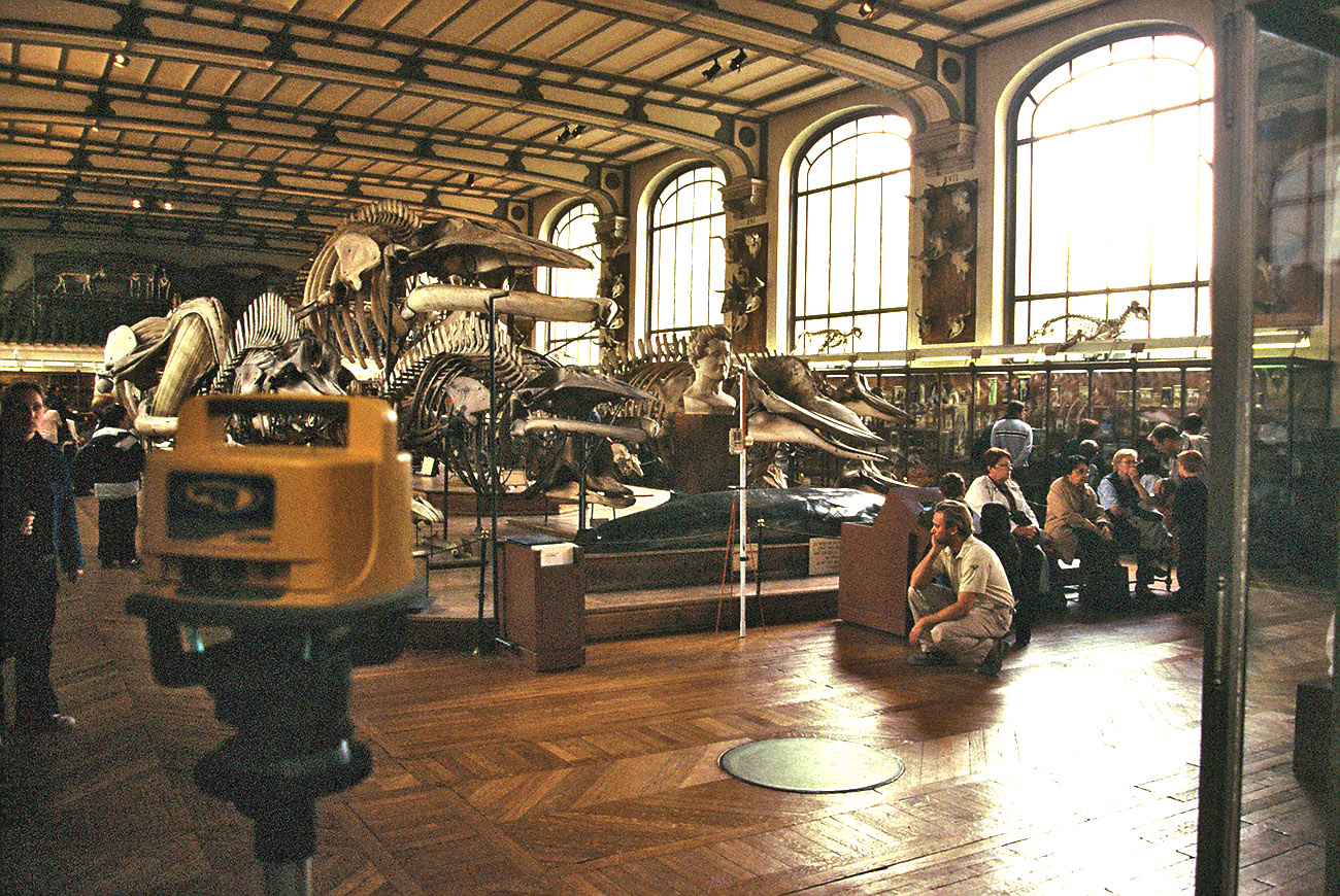 F1000015