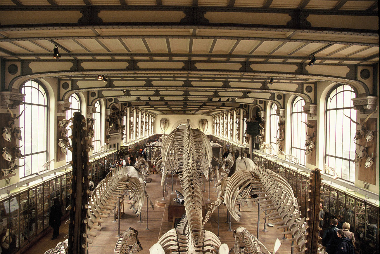 cedimento terreno di fondazione museo