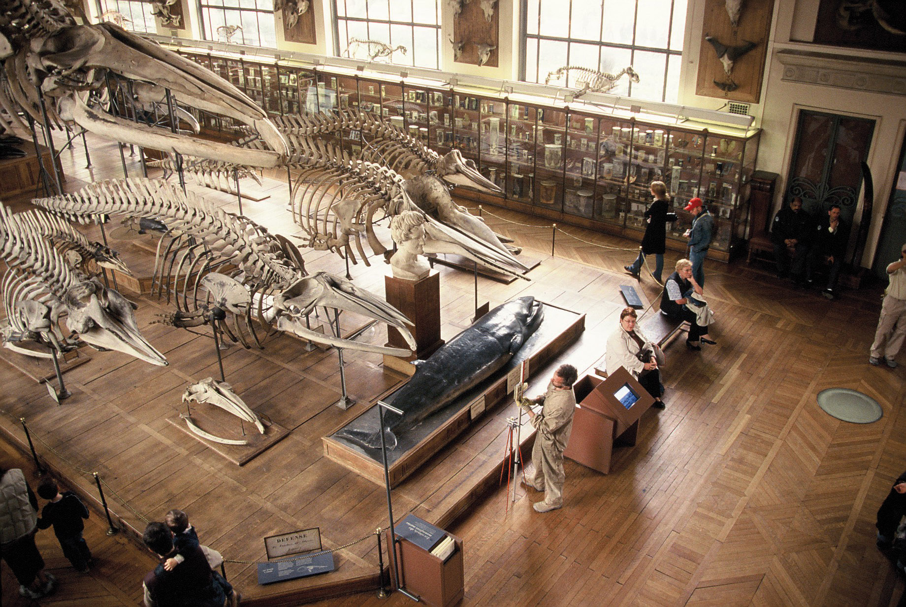 consolidamento terreno di fondazione museo